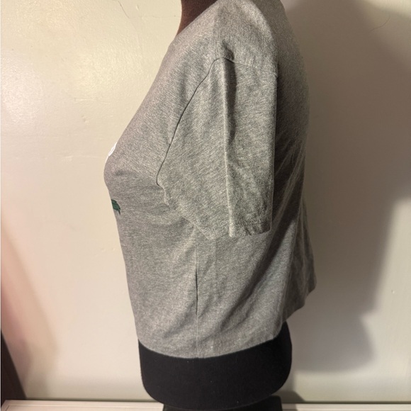 Hollister Gray Crop Top with Red Rose Graphics - Picture 2 of 3